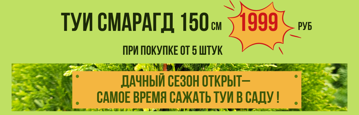 Садовый Мир Интернет Магазин Купить Каталог 2025